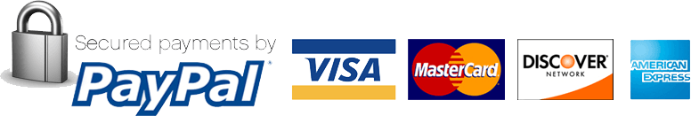 Secure payment checkout from PayPal
